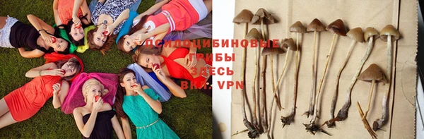 гашиш Сафоново